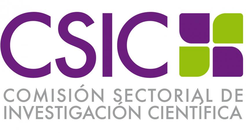 Logo con sigla CSIC