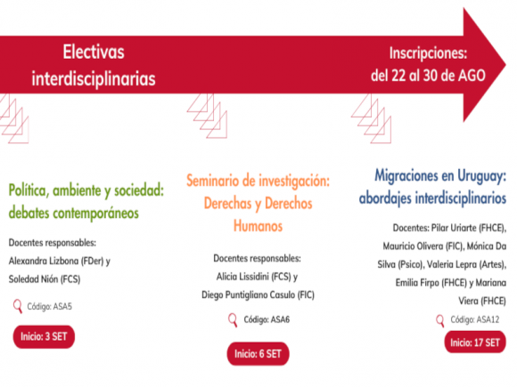 Electivas interdisciplinarias 2024