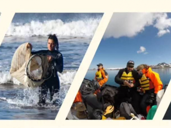 Licenciatura en Oceanografía