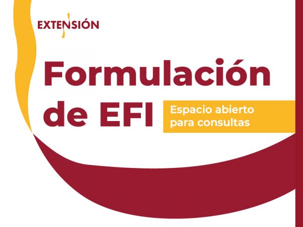 EFI - espacio abierto para consultas 800x600